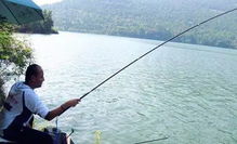 釣魚10年,才發現原來臺釣還有這些弊端