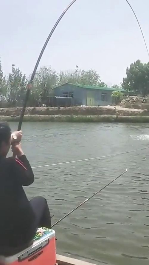 這么多人圍觀釣魚