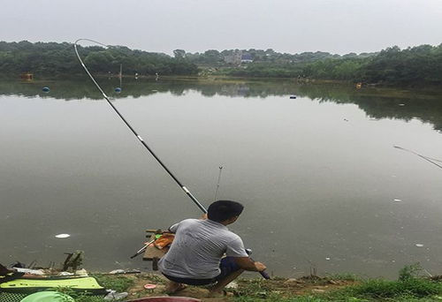 新手釣友只要認準這些垂釣規律,漁獲一準少不了