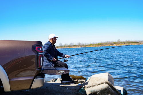 長城皮卡國內市占率近50 ,攬冠亞季軍,創新奇跡