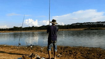 釣魚節日 垂釣的樂趣與文化