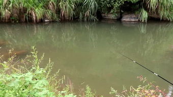 釣魚小康的個人頻道 垂釣之旅