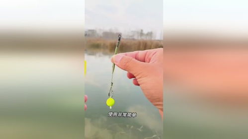 反底釣浮珠 漁具精粹，垂釣生活的藝術(shù)