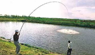 水層溫差對(duì)釣魚的影響與垂釣策略