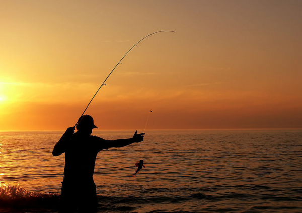 垂釣禁忌與避坑指南