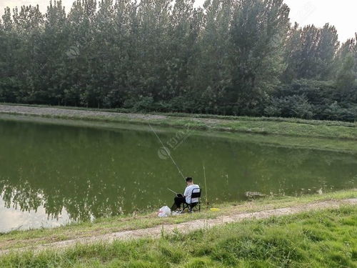 久違的垂釣之樂 兩處釣點收獲20尾魚的酣暢體驗