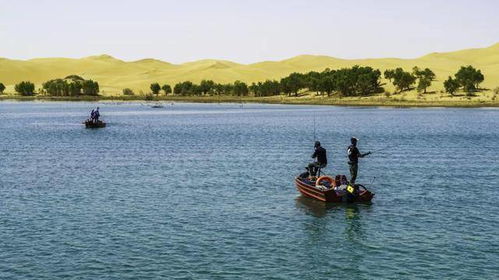 慈溪小魚餌的全球征服 從江南作坊到風靡俄羅斯，連國際品牌都來山寨