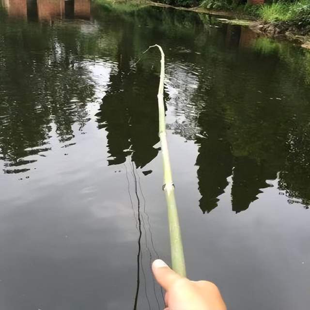 限制還是放開 解決違規垂釣的出路在哪里